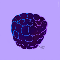 A large blackberry in gradient outlines placed on a light purple background